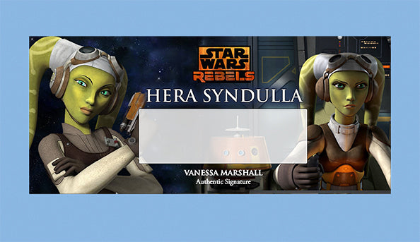 Vanessa Marshall -  HERA SYNDULLA - BRUSHED METAL